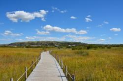 赤峰天意療養(yǎng)院電話多少號(hào)