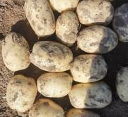 赤峰圍場(chǎng)糧貿(mào)公司電話多少號(hào)