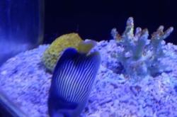 赤峰紅山海洋館電話地址查詢