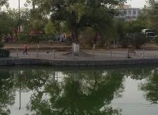 赤峰同城幼兒園電話號(hào)碼查詢