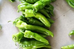 赤峰市辣椒代辦公司電話號(hào)碼