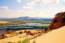 赤峰駱駝專賣店聯(lián)系電話號碼