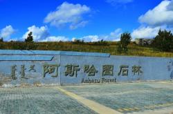 赤峰阿旗網(wǎng)約車公司電話號碼