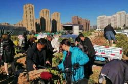 赤峰松山區(qū)城管舉報電話是多少