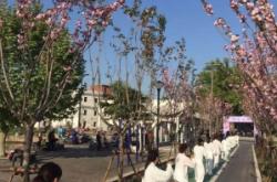 赤峰櫻花街道電話號(hào)碼是多少號(hào)