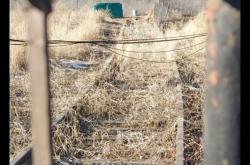 赤峰北道糧庫電話多少號(hào)碼