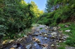 赤峰市天山鎮(zhèn)天水社區(qū)電話號碼