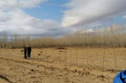 赤峰牛營子郭英杰診所電話號(hào)碼