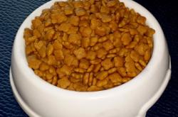 赤峰寵物狗糧批發(fā)電話號碼