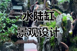 赤峰水陸缸造景定制電話號碼