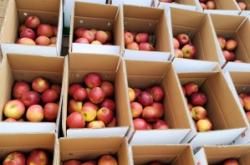 赤峰蘋果直售店電話號(hào)碼查詢