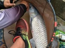 赤峰魚樂(lè)圈垂釣基地電話號(hào)碼