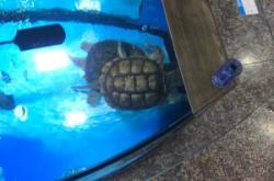 赤峰花卉市場(chǎng)水族館電話號(hào)碼