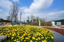 赤峰市大地宜居物業(yè)電話號碼