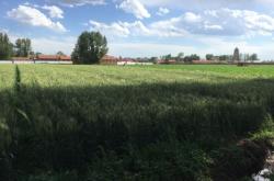 赤峰寧城火車站站電話號碼是多少