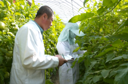 赤峰蔬菜加工廠電話號(hào)碼多少