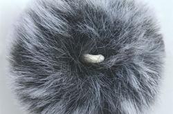 赤峰兔毛回收公司地址電話號碼