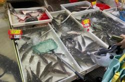 赤峰鱸魚養(yǎng)殖基地電話號碼查詢