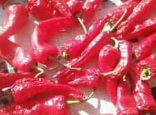 赤峰賣豆角絲的電話號(hào)碼是多少