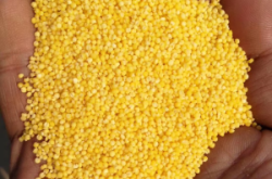 赤峰興合批發(fā)部電話地址查詢