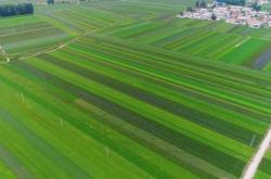 赤峰東站站長是誰啊電話是多少