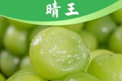 赤峰晴王葡萄水果店電話(huà)號(hào)碼