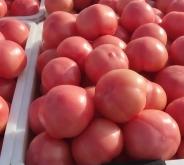 赤峰市分揀中心電話號碼查詢