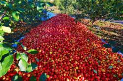 赤峰塔子溝合作社電話號(hào)碼