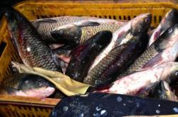 赤峰海水魚工作室電話號碼