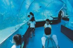 赤峰小波水族館電話地址查詢
