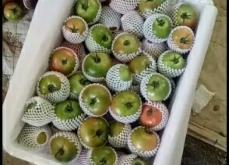 赤峰水果加工廠電話多少號(hào)