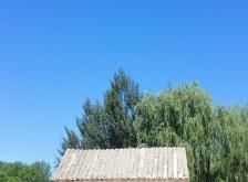 赤峰市松山區(qū)黨校電話號(hào)碼