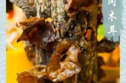 赤峰老梁火鍋店地址電話號(hào)碼