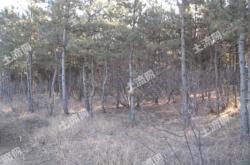 赤峰寧城膠粘管廠電話號碼查詢