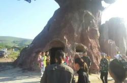 赤峰小毛驢旅游團(tuán)電話號(hào)碼