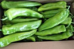 赤峰蔬菜基地電話號(hào)碼多少