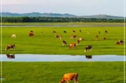 赤峰赤鸚堂地址電話號碼查詢
