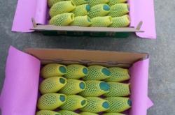 赤峰到右江區(qū)物流電話號(hào)碼