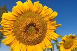 赤峰向陽(yáng)理發(fā)店電話多少號(hào)