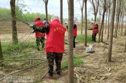 赤峰紅渠項(xiàng)目指揮部電話號(hào)碼