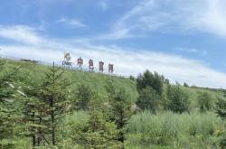 赤峰翻斗車隊電話號碼查詢