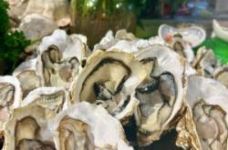 赤峰飛蟹榴蓮自助火鍋電話號碼