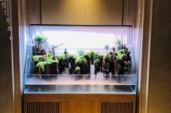 赤峰市魚缸維護(hù)電話地址查詢