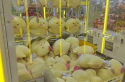 赤峰紅廟子抓娃娃店電話號碼