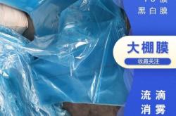 赤峰流動(dòng)貼膜店地址電話號(hào)碼