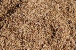 赤峰壓縮稻殼廠家批發(fā)電話號碼