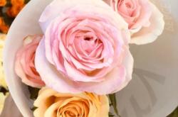 永業(yè)花店赤峰店地址電話號碼