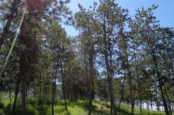 赤峰橋邊邊地主烤肉電話號(hào)碼