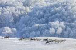 赤峰冬子針織廠地址電話號碼