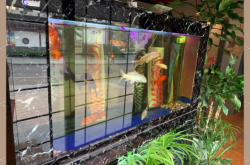 赤峰赤亭日料店電話號碼